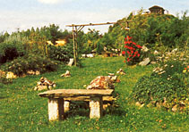 Kräutergarten